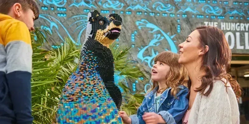 Theme Park Fun